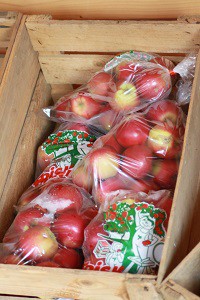 Gårdbutik - Æbler fra Gårdagergård